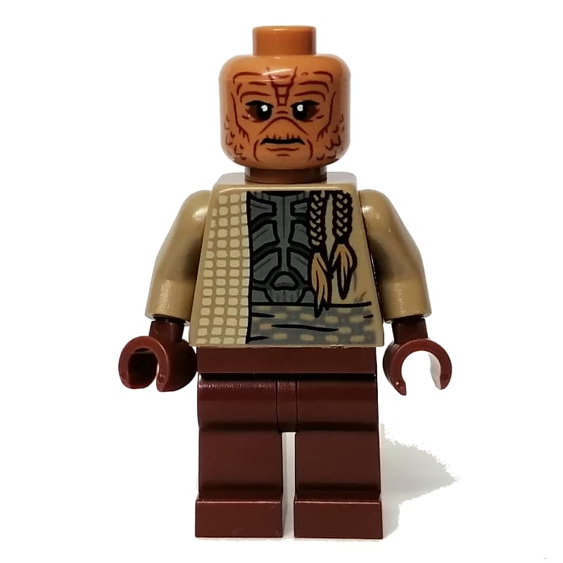 Weequay Guard