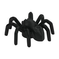 Insect, Spider with Elongated Tail Section — Black