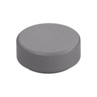 Tile Round 1 x 1 — Flat Silver