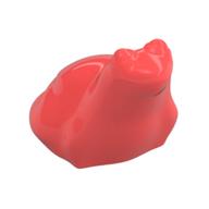 Animal, Frog — Coral