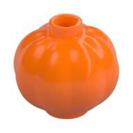 Plant, Pumpkin — Orange